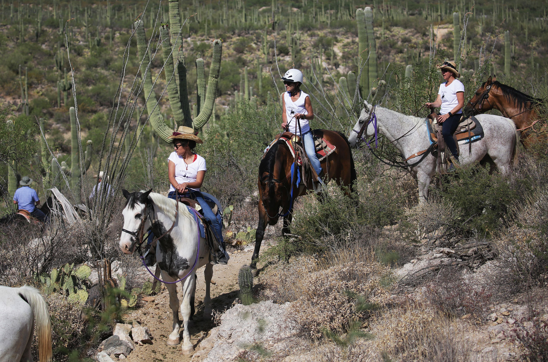 Tanque Verde Ranch